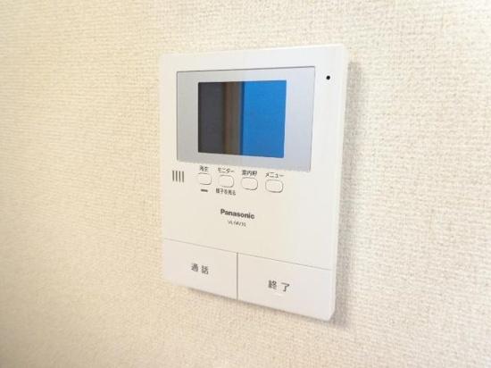 パインフィールド松