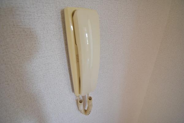 エレガンスコート舞