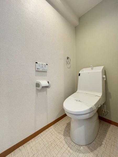 ピュアドミトリーシミズ