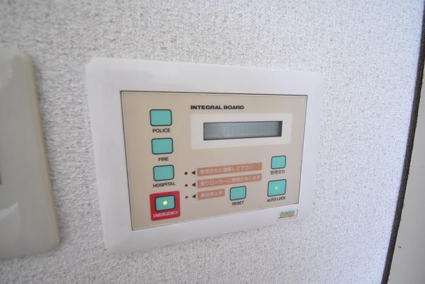 ピュアドミトリーシミズ