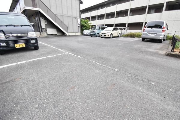 セジュール向日葵