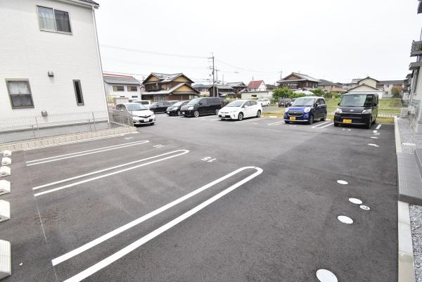 Casaraffine青地
