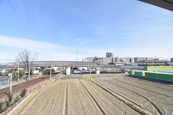フラン苅原