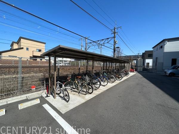 フラン苅原