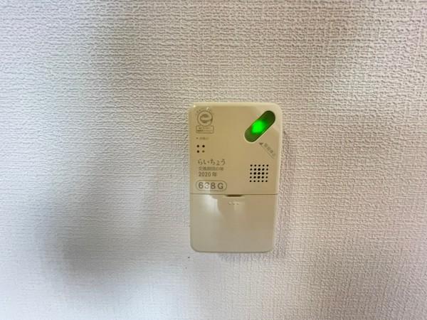 風異音素