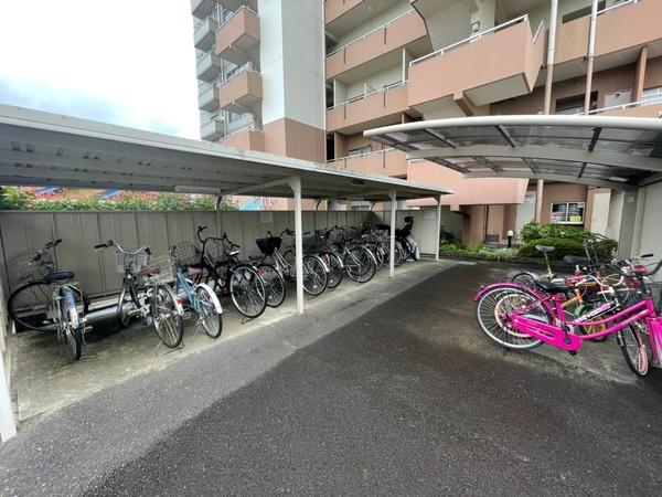 風異音素