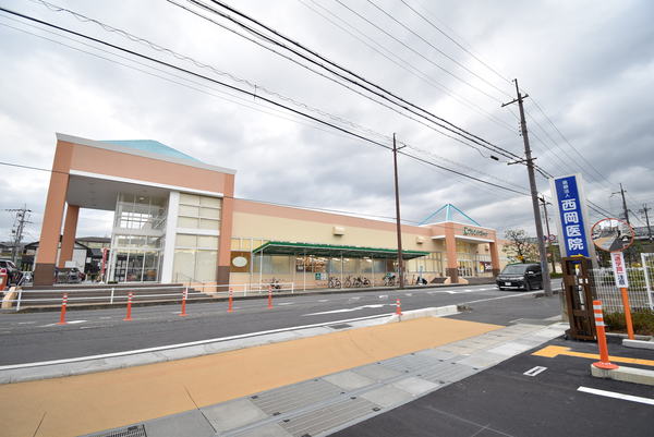 クッキィーC(フレンドマート追分店)