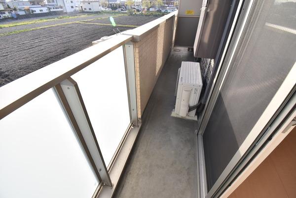 サニーコートアレックス