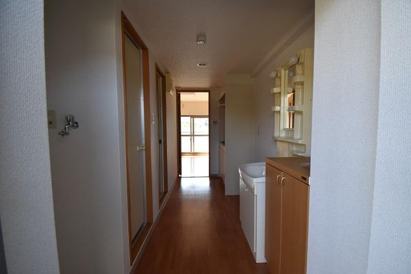 アネックス明星３