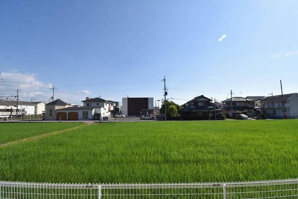 モンプーカ28