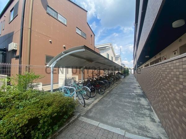 ダンデライオン