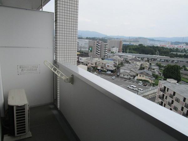 feliciaうさぎ
