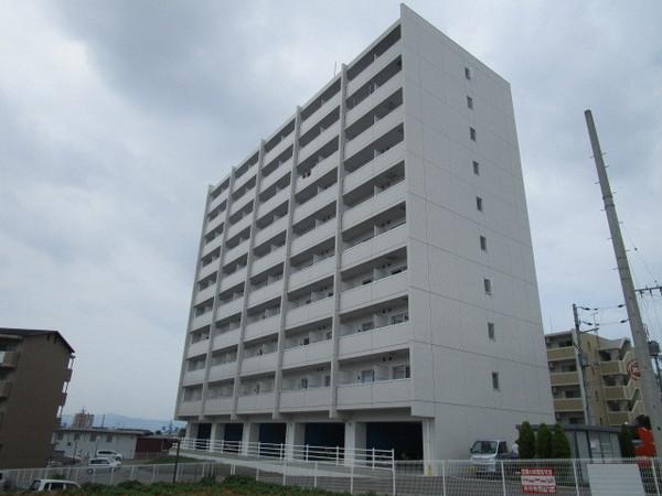 feliciaうさぎ