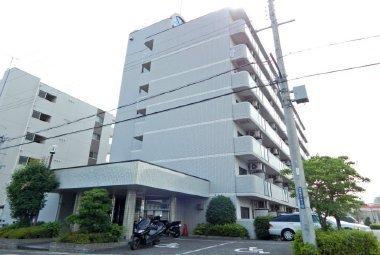 アイランド小野山