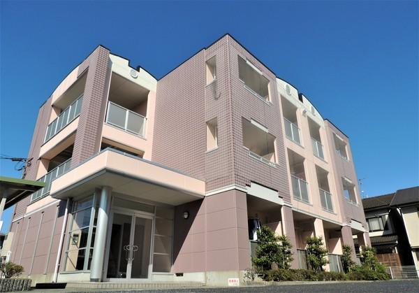 ヤングU・21