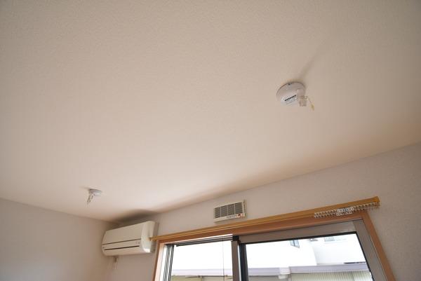 ベアグラス
