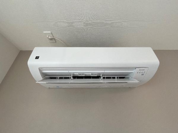 chouette