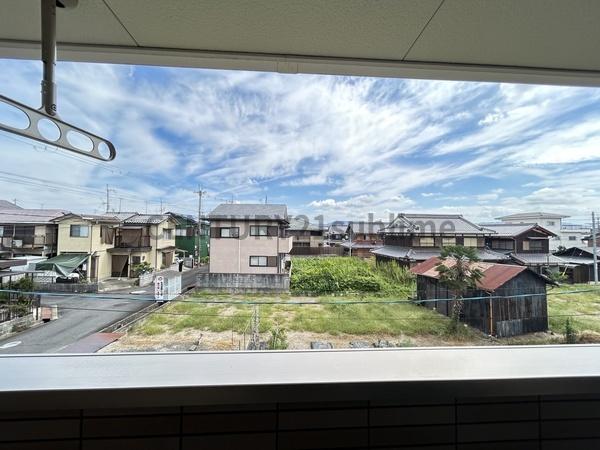 プラシード　コルソ