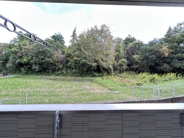 ｍｉｎｉｏｎ