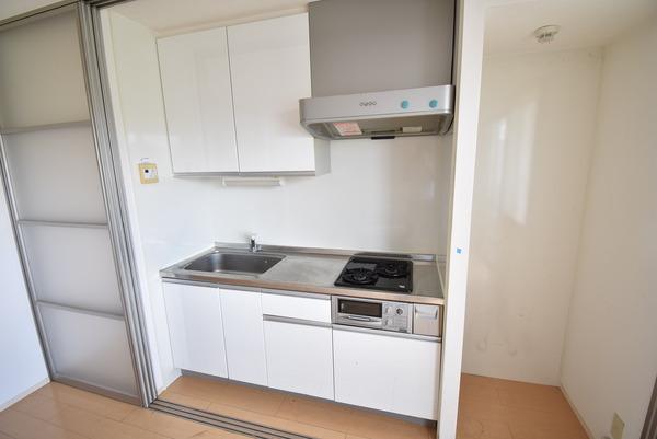 QUALIA