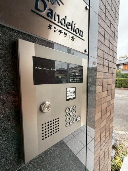 ダンデライオン