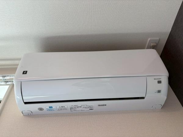 シャインパレス