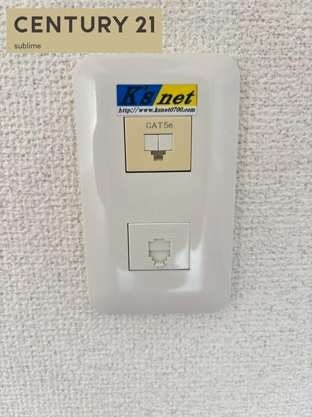 ピュアドミトリーシミズ