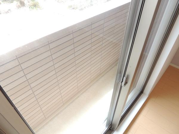 プラシード　コルソ