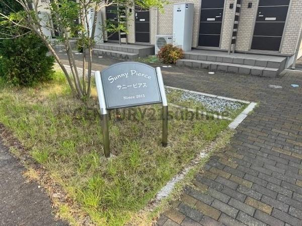 サニーピアス