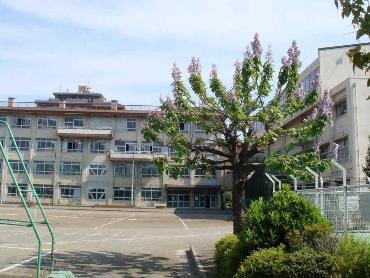 川越市脇田本町のマンション(川越市立中央小学校)