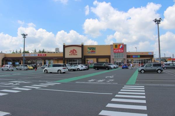 下藤沢貸家(スーパーアルプス入間下藤沢店)