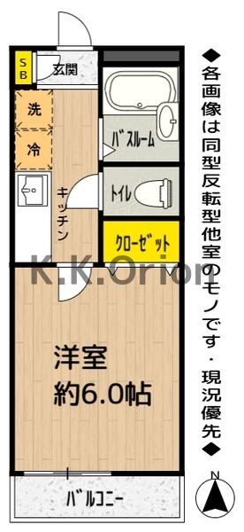 ルピナス