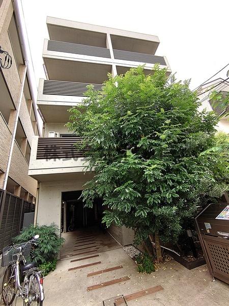TheOAKSEKODARASICLAS