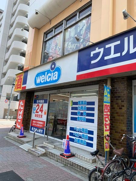 ラ・ピアッザ豊玉（トヨタマ）(ウエルシア薬局豊玉目白通り店)