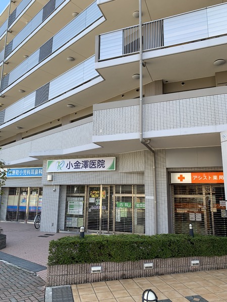 江古田サンライトマンション／エコダサンライトマンション(小金澤医院)