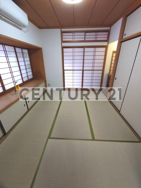 ヴェラ富田
