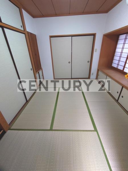 ヴェラ富田