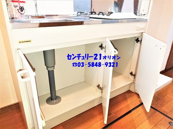 スカイパレス中村橋１