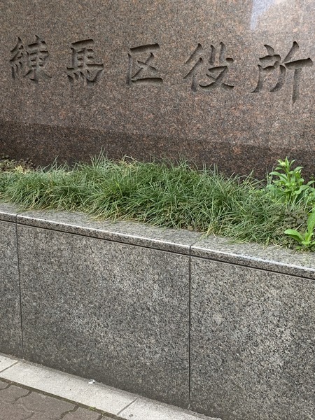 練馬区豊玉北4丁目のマンション(練馬区役所)