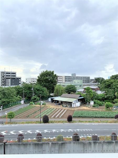 ＧＥＮＯＶＩＡ練馬高野台ｓｋｙｒｕｎ