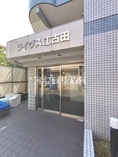 ライヴス江古田