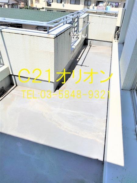 豊島園パールセンチュリー21／トシマエンパールセンチュリー