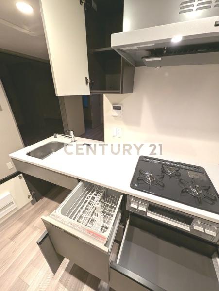 BRANSIESTA　EKODA／ブランシエスタエゴタ