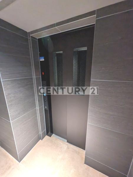 BRANSIESTA　EKODA／ブランシエスタエゴタ