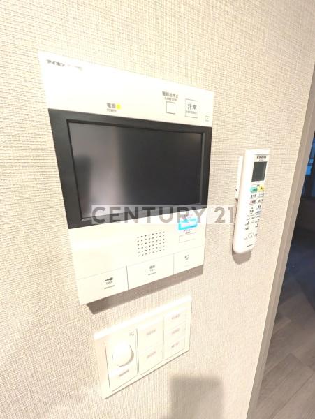 BRANSIESTA　EKODA／ブランシエスタエゴタ