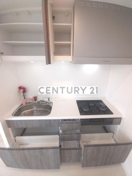 IsleGrandeNakanoNorthDue(キッチン)