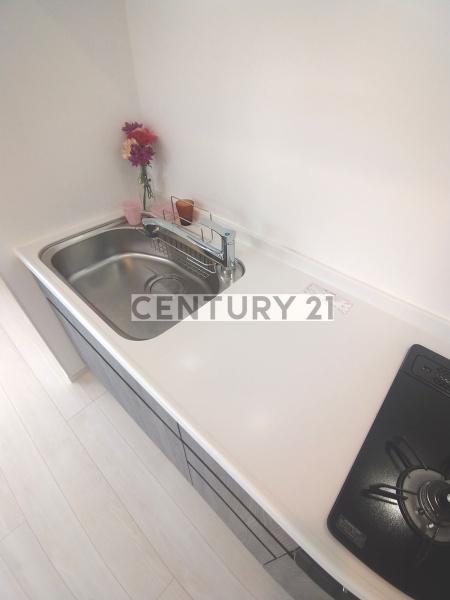 IsleGrandeNakanoNorthDue(キッチン)