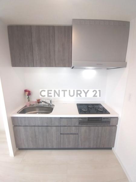 IsleGrandeNakanoNorthDue(キッチン)