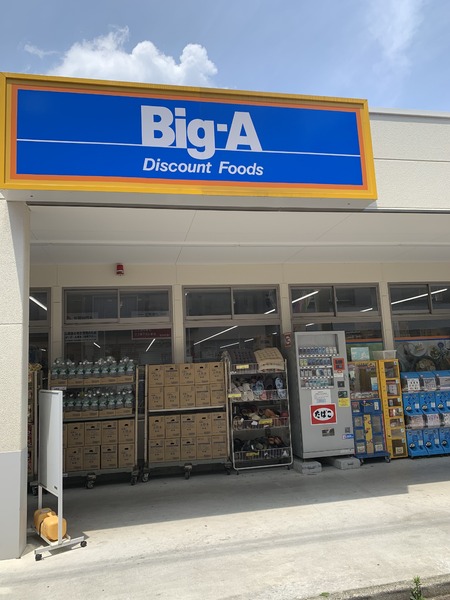 LUMEED江古田/ルミードエコダ(ビッグ・エー練馬栄町店)