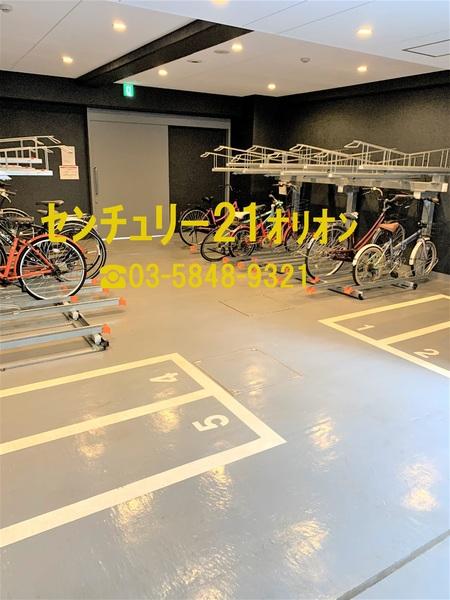 IARETH　NERIMA／イアースネリマ